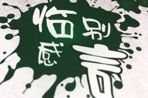 成都西南財(cái)經(jīng)大學(xué)2011屆大學(xué)畢業(yè)紀(jì)念冊(cè)-同學(xué)錄