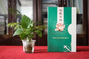 透過(guò)生態(tài)餐廳菜譜排版制作案例-講解中餐廳設(shè)計(jì)菜單應(yīng)該注意什么?