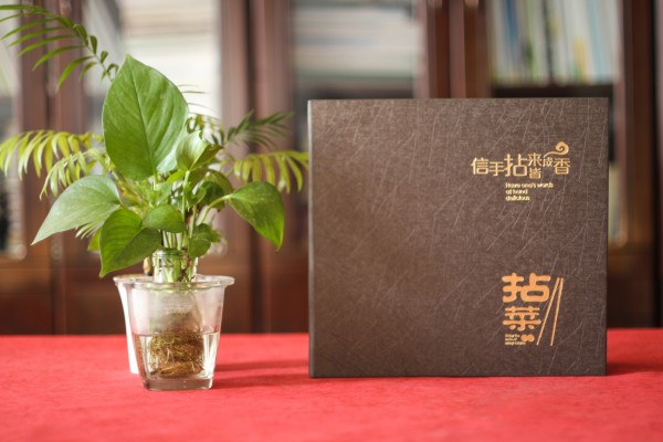 五星級(jí)酒店特色餐廳制作高檔菜單實(shí)拍圖片-給菜譜設(shè)計(jì)廠(chǎng)家跪了!