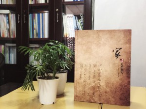 陳氏個性圖文家譜-個性創(chuàng)意族譜設計制作