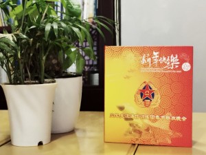 春節(jié)聯(lián)歡晚會(huì)-DVD視頻光盤盒制作-CD光盤卡書定做