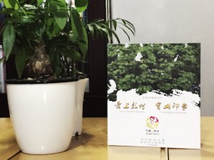 彭州寶山-城市形象宣傳片光盤包裝盒設(shè)計(jì)制作