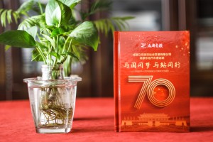 成都精裝cd盒印刷制作-單位文藝晚會(huì)視頻刻錄成光盤,哪里做包裝盒