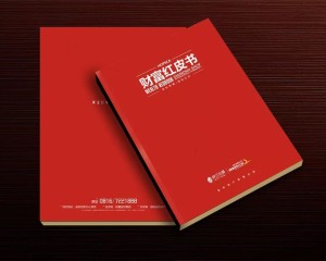 真正高端的房地產(chǎn)企業(yè)宣傳畫冊設(shè)計(jì) 擺脫創(chuàng)意文案 廣告照樣牛逼！