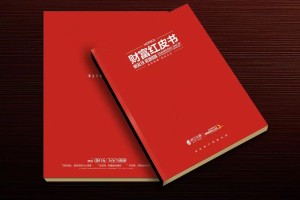 真正高端的房地產企業(yè)宣傳畫冊設計 擺脫創(chuàng)意文案 廣告照樣牛逼！