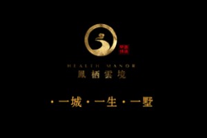 別墅宣傳冊(cè)設(shè)計(jì)方案-中國風(fēng)房地產(chǎn)樓盤畫冊(cè)設(shè)計(jì)怎么做