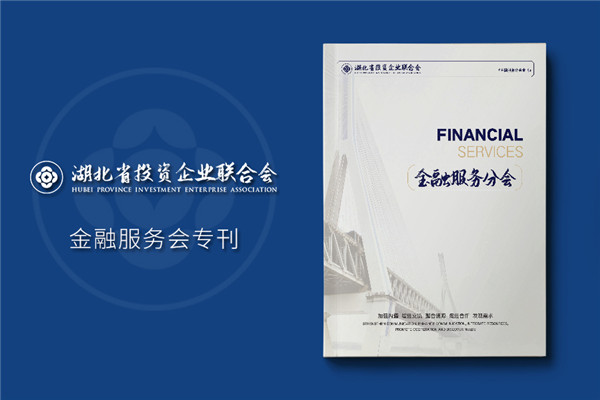 金融服務協(xié)會及知識產權雜志排版-企業(yè)文件內刊回憶錄