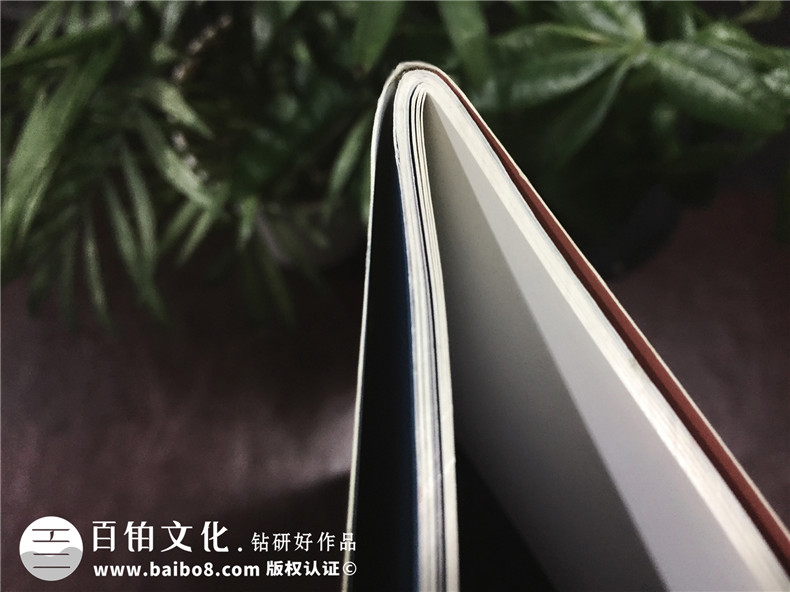 成都登特義齒-企業(yè)期刊畫冊(cè)設(shè)計(jì)-雜志制作