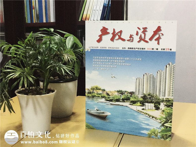 《產權與資本》西南聯(lián)交所企業(yè)內刊雜志制作