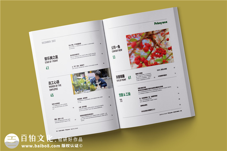 高檔的企業(yè)期刊-企業(yè)刊物怎么制作第2張-宣傳畫冊(cè),紀(jì)念冊(cè)設(shè)計(jì)制作-價(jià)格費(fèi)用,文案模板,印刷裝訂,尺寸大小