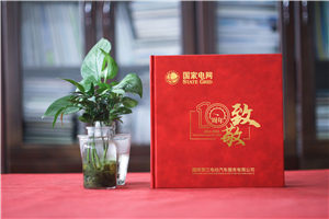 企業(yè)十周年慶典圖畫冊-國家電網(wǎng)公司成立10周年贈送成長紀念冊