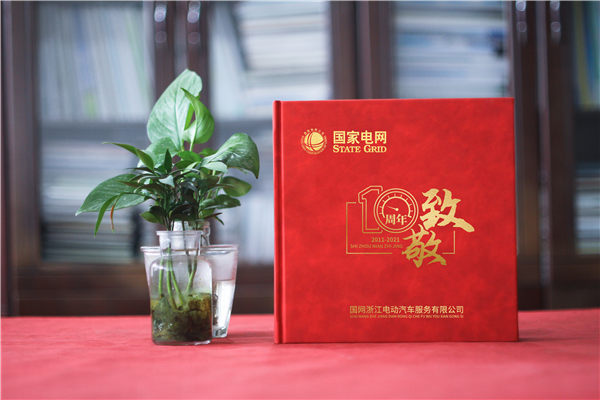 企業(yè)十周年慶典圖畫冊-國家電網公司成立10周年贈送成長紀念冊