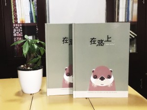 二十周年結(jié)婚紀念冊-相愛二十年紀念相冊