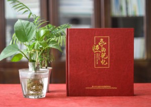 市政工程建設(shè)資料照片做電子紀(jì)念相冊(cè)-獻(xiàn)給參與項(xiàng)目的大家一本影集