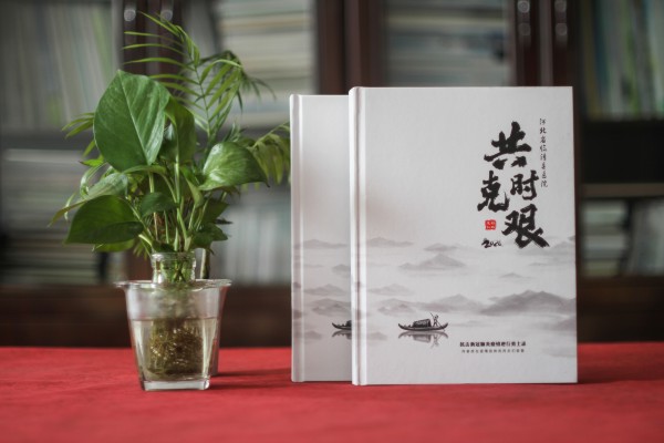 抗擊疫情畫冊(cè)影集設(shè)計(jì)公司-疫情制作宣傳冊(cè)-抗疫紀(jì)念專輯怎樣設(shè)計(jì)