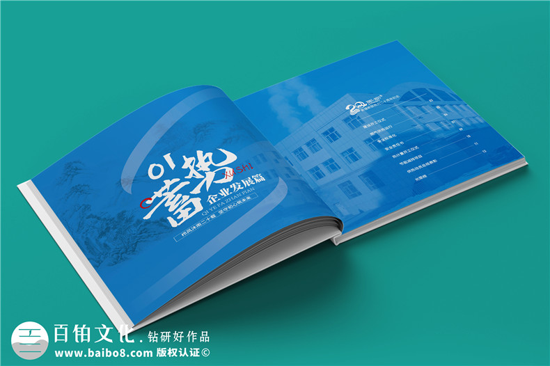 企業(yè)20年畫冊-公司廠慶回憶錄周年大事記書籍設(shè)計制作