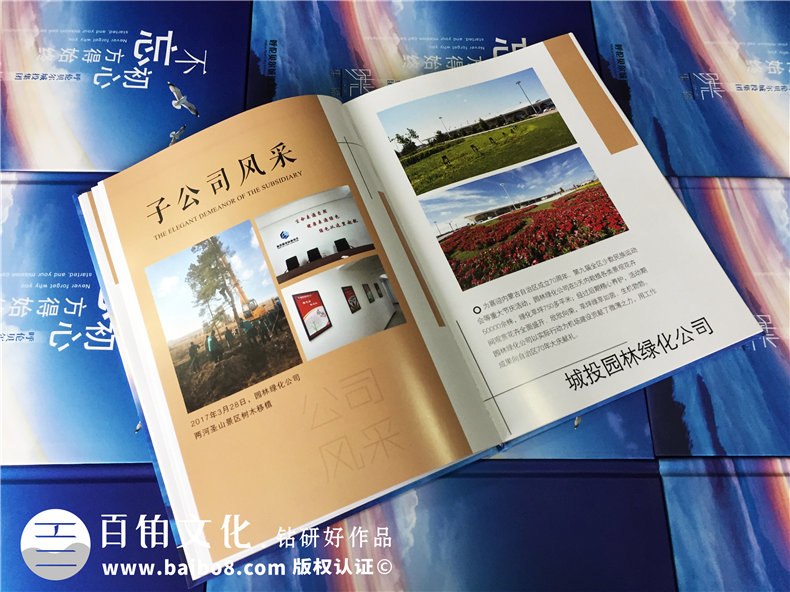 企業(yè)團(tuán)隊活動紀(jì)念冊設(shè)計-公司年度總結(jié)相冊制作