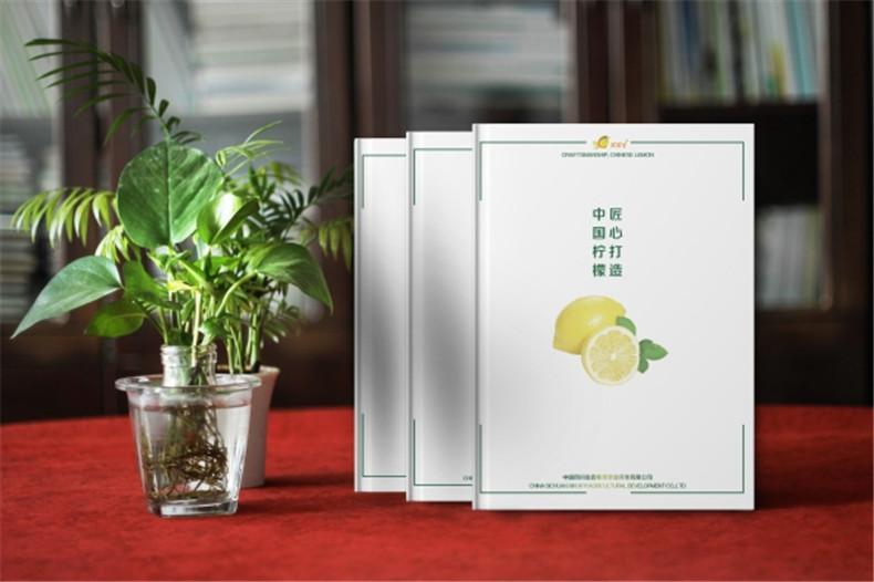 【水果宣傳冊設(shè)計(jì)】 農(nóng)業(yè)公司農(nóng)產(chǎn)品畫冊制作 樣本冊印刷