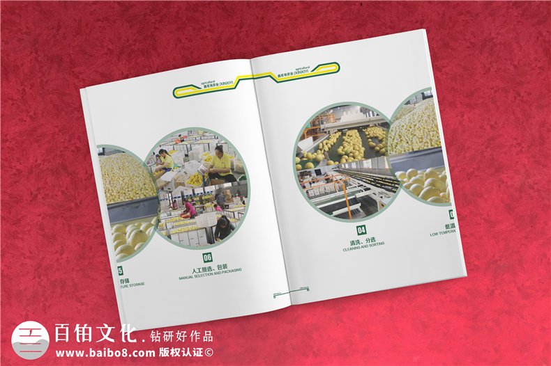 商鋪產(chǎn)品促銷宣傳冊設(shè)計(jì)-有哪些設(shè)計(jì)步驟