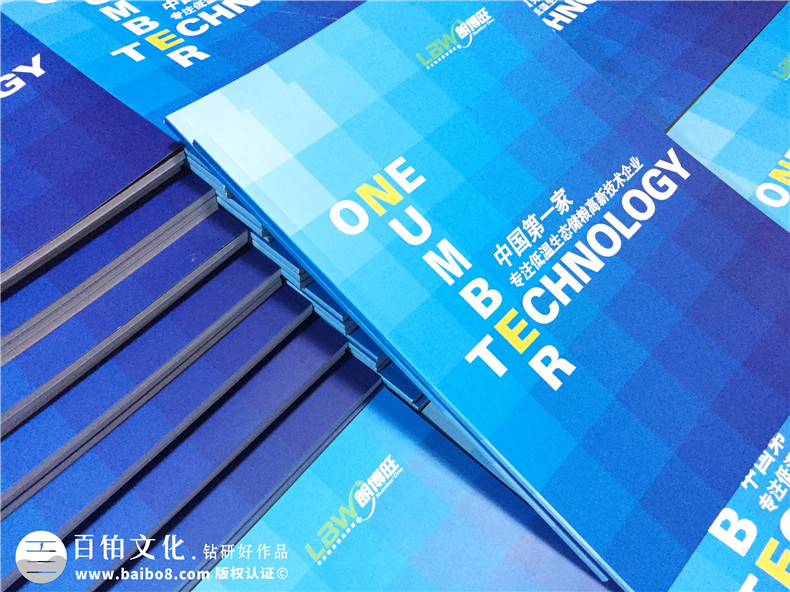 制作一本企業(yè)宣傳畫(huà)冊(cè)-專業(yè)畫(huà)冊(cè)制作為企業(yè)營(yíng)銷宣傳助力第1張-宣傳畫(huà)冊(cè),紀(jì)念冊(cè)設(shè)計(jì)制作-價(jià)格費(fèi)用,文案模板,印刷裝訂,尺寸大小