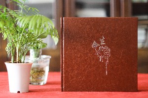 給即將退休的黨委書記干部做電子相冊-如何給領(lǐng)導(dǎo)做工作歷程集錦?