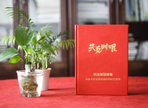 新冠病毒抗疫紀(jì)念相冊設(shè)計-送奮戰(zhàn)在疫情前線領(lǐng)導(dǎo)同事的留念畫冊