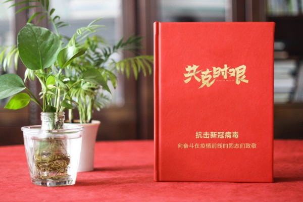 新冠病毒抗疫紀念相冊設(shè)計-送奮戰(zhàn)在疫情前線領(lǐng)導同事的留念畫冊