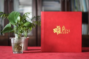 黨委書記調(diào)任紀念畫冊-給單位領(lǐng)導干部的升遷離任工作紀實留念相冊