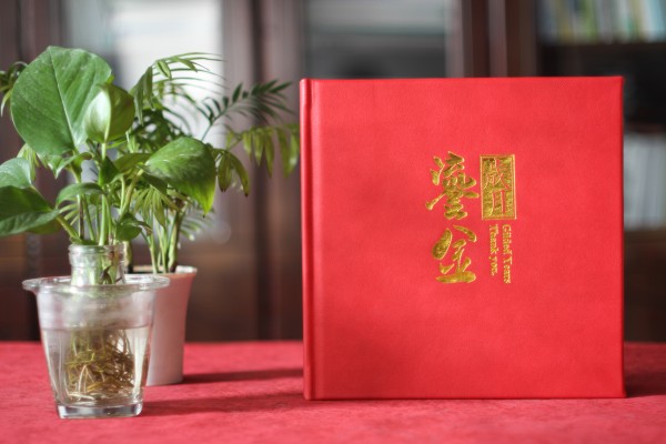 人社局長退休離任紀念相冊-領(lǐng)導(dǎo)干部任職期間工作回憶畫冊