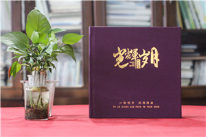 鎮(zhèn)長黨委書記鄉(xiāng)鎮(zhèn)班子工作紀(jì)念冊-送市委書記離任畫冊