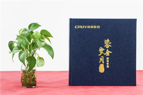 專家退休相冊(cè)-首席技術(shù)顧問榮休紀(jì)念冊(cè)