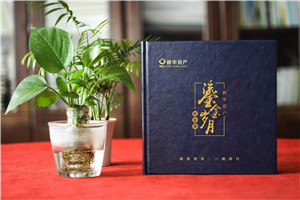 時光影像，情誼永恒——資產(chǎn)管理公司領(lǐng)導調(diào)任留念相冊