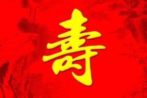 給老人祝壽生日相冊(cè)設(shè)計(jì)制作-家庭影集紀(jì)念冊(cè)定制