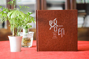 個人成長紀(jì)念冊制作 設(shè)計專業(yè)的紀(jì)念冊 紀(jì)念成長故事！