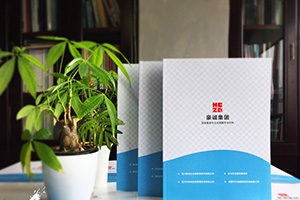 企業(yè)畫冊設(shè)計怎么做？畫冊制作的通用方法思考