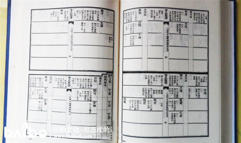 家譜設(shè)計的內(nèi)容